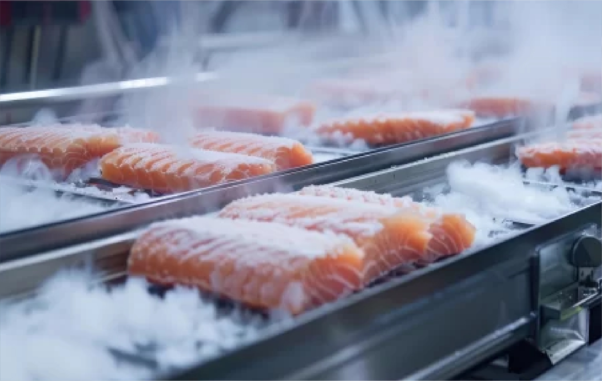 Túneis de Congelamento: Essenciais para a Indústria Alimentícia